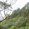 Alishan_Mountain