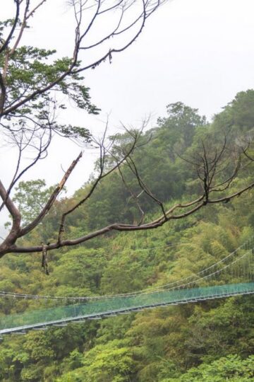 Alishan_Mountain
